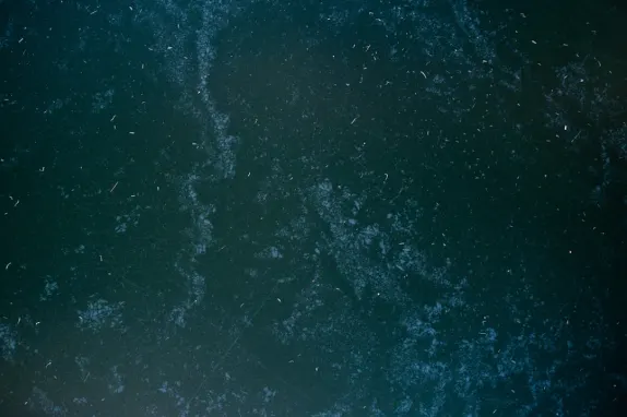 Tournaverse Casino Suporte